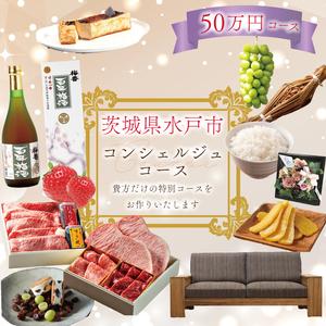 ふるさと納税 【提案型】コンシェルジュコース（50万円）(GT-8) 茨城県水戸市