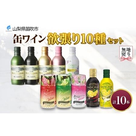 ふるさと納税 缶ワイン 欲張り10種 飲み比べセット モンデ酒造 10本 177-4-043 山梨県...