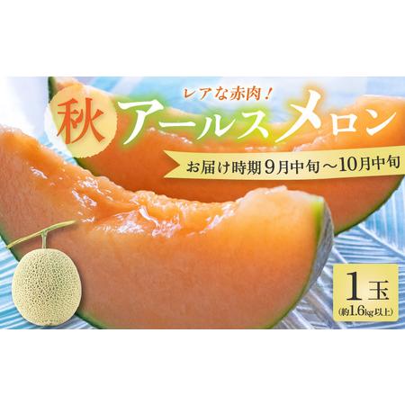 ふるさと納税 【先行予約】【赤肉】秋 アールスメロン 1玉（約1.6kg以上） 高級メロン！ ／ マ...