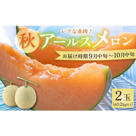 ふるさと納税 【先行予約】【赤肉】秋 アールスメロン 2玉（計約3.2kg以上）赤肉品種 高級メロン...