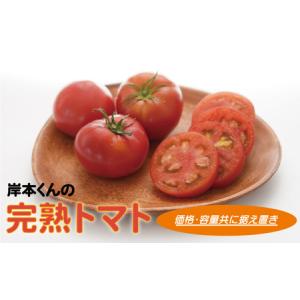 ふるさと納税 岸本くんの完熟トマト 大玉 4kg 発送期間：2025年12月10日-2026年2月28日 愛媛県愛南町｜ふるなび(ふるさと納税)