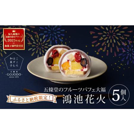 ふるさと納税 五條堂（GOJODO）の鴻池花火5個入 【ふるさと納税限定】★多数のメディアで紹介され...