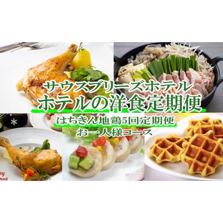 ふるさと納税 【ホテルメイドの洋食惣菜】土佐はちきん地鶏定期便！！年5回お届け【お一人様向け】＿sb...