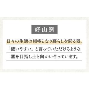 ふるさと納税 【美濃焼】多用鉢 呉須トビ 1個...の詳細画像4