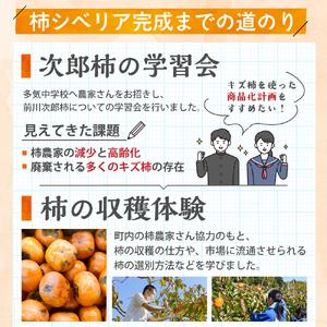 ふるさと納税 キズ柿をつかった柿シベリア 5個...の詳細画像3