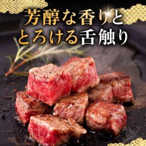 ふるさと納税 【全12回定期便】壱岐牛 サーロ...の詳細画像1