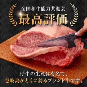 ふるさと納税 【全12回定期便】壱岐牛 サーロ...の詳細画像4