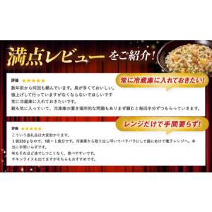 ふるさと納税 鶏ごぼうピラフ 250g×10食...の詳細画像1
