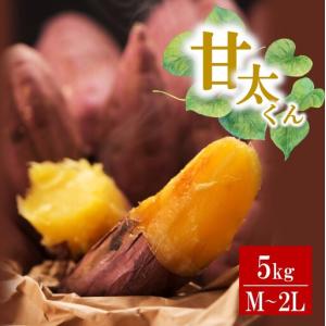 ふるさと納税 さつまいも 甘太くん 5kg 大分県産 M〜2L _2291R 大分県 