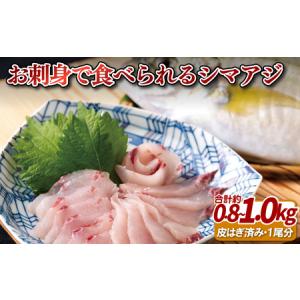 ふるさと納税 「活〆急速冷凍」お刺身で食べられるシマ...