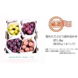 ふるさと納税 【甘みが強い♪】採れたてぶどう詰...の詳細画像1
