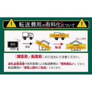 ふるさと納税 【甘みが強い♪】採れたてぶどう詰...の詳細画像3