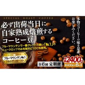ふるさと納税 必ず出荷日に自家熟成焙煎ブルーマウンテンNo.1豆(400g)【6回定期便】 長崎県佐世保市
