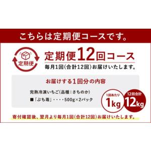 ふるさと納税 いちご 【12ヶ月定期便】冷凍い...の詳細画像1