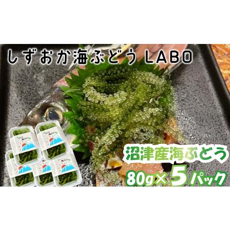 ふるさと納税 【数量限定】海ぶどう 80g×5パック 産地直送 海ぶどう 静岡県沼津市