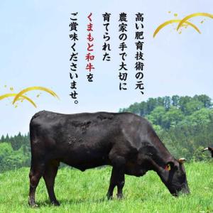 ふるさと納税 【12回定期便】くまもと黒毛和牛...の詳細画像4