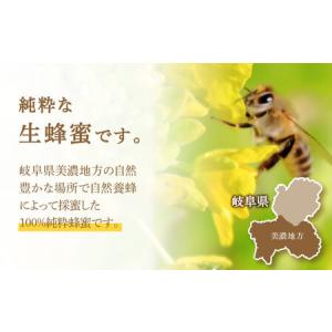 ふるさと納税 美濃蜂蜜 百花蜜 600g ディ...の詳細画像1