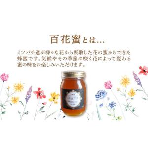 ふるさと納税 美濃蜂蜜 百花蜜 600g ディ...の詳細画像2