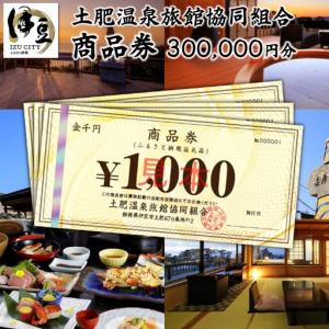 ふるさと納税 静岡 伊豆 土肥温泉 旅館協同組合 商品券（300,000円分）【宿泊券 宿泊 温泉 温泉宿 旅行 旅行クーポン お食事券 協同組合 静岡県 .. 静岡県伊豆市