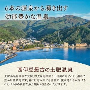 ふるさと納税 静岡 伊豆 土肥温泉 旅館協同組...の詳細画像3