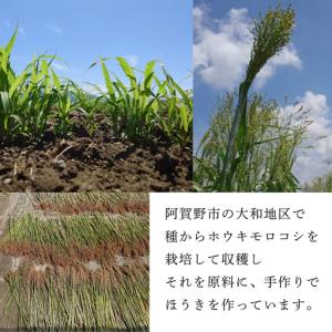 ふるさと納税 種から栽培した国産ホウキモロコシ...の詳細画像1