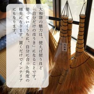 ふるさと納税 種から栽培した国産ホウキモロコシ...の詳細画像3