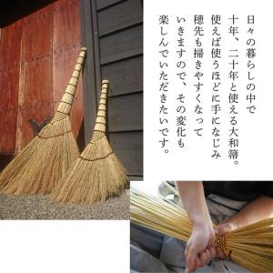 ふるさと納税 種から栽培した国産ホウキモロコシ...の詳細画像4