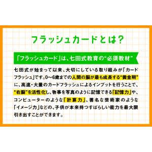 ふるさと納税 江津市限定返礼品:かな絵ちゃん英...の詳細画像4