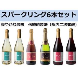 ふるさと納税 十勝ワインスパークリング6本セット　十勝ワイン　辛口ワイン　北海道ワイン　甘口ワイン　...