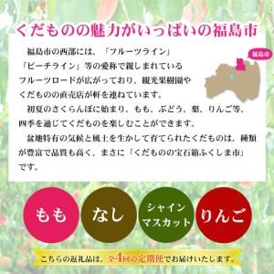ふるさと納税 No.2769福島のフルーツ定期...の詳細画像1