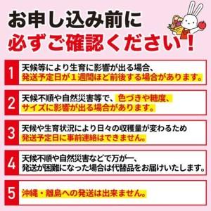 ふるさと納税 No.2769福島のフルーツ定期...の詳細画像2