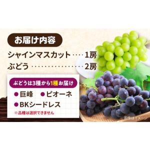 ふるさと納税 【2026年8月中旬より順次発送...の詳細画像1
