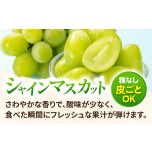 ふるさと納税 【2026年8月中旬より順次発送...の詳細画像2