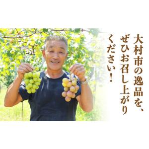 ふるさと納税 【2026年8月中旬より順次発送...の詳細画像3
