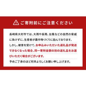 ふるさと納税 【2026年8月中旬より順次発送...の詳細画像4