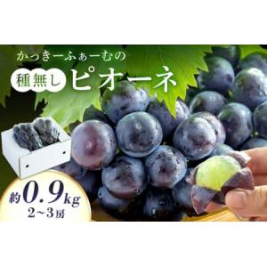 ふるさと納税 【先行予約】種無しピオーネ 約0.9kg 2〜3房《8月下旬頃から発送》果物 ピオーネ ぶどう 先行予約 【183_1883】 島根県浜田市