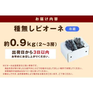 ふるさと納税 【先行予約】種無しピオーネ 約0...の詳細画像4