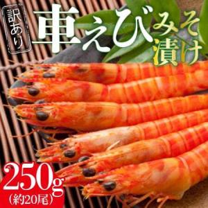ふるさと納税 訳あり 夏海老のみそ漬け（食べやすいサイズ 車海老の味噌漬け） 010-C168 佐賀県伊万里市
