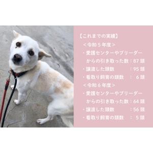 ふるさと納税 犬猫保護活動への支援 2000円...の詳細画像3