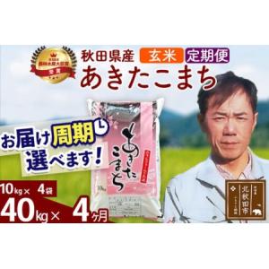 ふるさと納税 ※令和7年産※《定期便4ヶ月》秋田...の商品画像