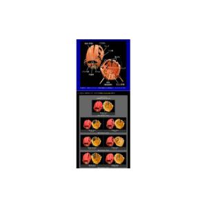 ふるさと納税 野球オーダーグラブ(プレミアムシ...の詳細画像2