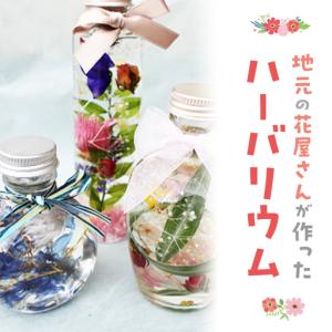 ふるさと納税 地元の花屋さんが作ったハーバリウム 花 生花 お花 ハーバリウム 鳥取県倉吉市