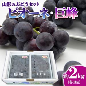 ふるさと納税 山形のぶどうセット 秀品 約2kg(ピオーネ約1kg2房前後・巨峰約1kg2房前後)[9月中旬〜10月中旬お届け]【令和8年産先行予約】FS24-57.. 山形県山形市