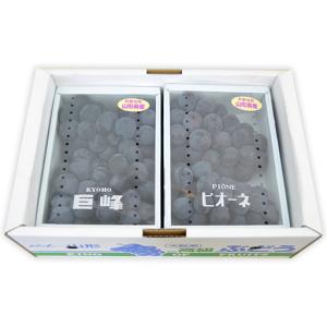 ふるさと納税 山形のぶどうセット 秀品 約2k...の詳細画像1