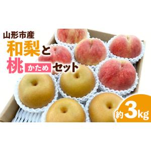 ふるさと納税 硬い食感が人気!山形産パリパリの硬い桃 約2kg ふるさと納税 硬い食感が人気!山形産パリパリの硬い桃 約2kg