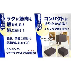 ふるさと納税 [SK-88-B]トランポリン(...の詳細画像2
