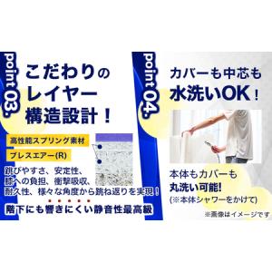 ふるさと納税 [SK-88-B]トランポリン(...の詳細画像3