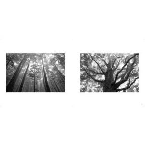 ふるさと納税 写真家 望月久 モノクロ写真集 ...の詳細画像1