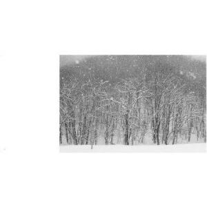 ふるさと納税 写真家 望月久 モノクロ写真集 ...の詳細画像3