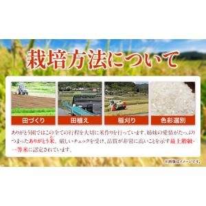 ふるさと納税 【12ヶ月定期便】ありがとう園の...の詳細画像2
